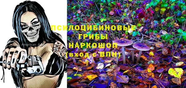 сатива Горняк