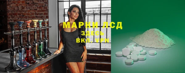 сатива Горняк