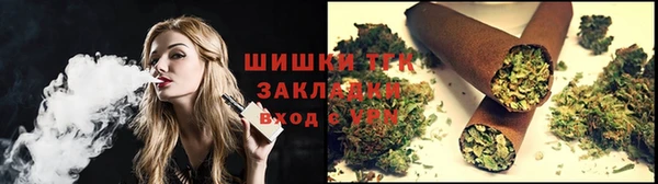 сатива Горняк