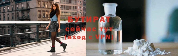 сатива Горняк