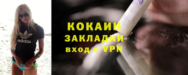 сатива Горняк