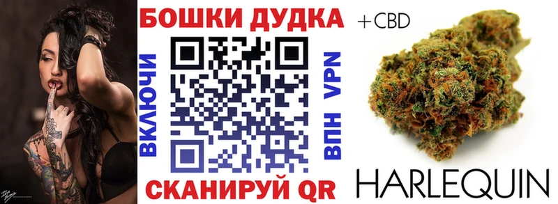 Бошки марихуана гибрид Майкоп