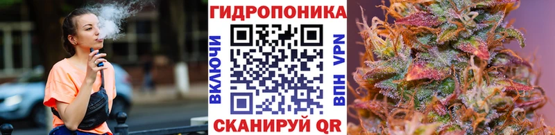 МАРИХУАНА MAZAR  блэк спрут онион  Майкоп  как найти  